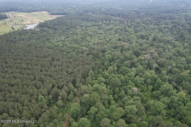 If you've been searching for a manageable hunting property with - photo 38