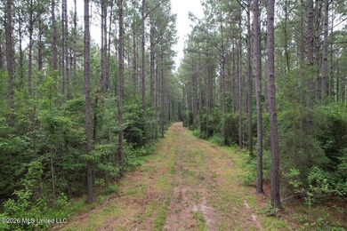 If you've been searching for a manageable hunting property with - photo 39