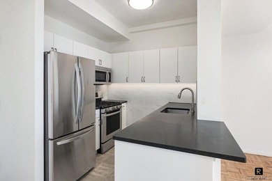 Renovated High-Floor One-Bedroom at The Langston. Welcome to - photo 6