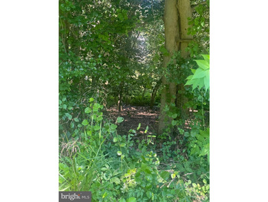 Once upon a time, you dreamed of land big enough to spread out - photo 6
