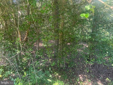 Once upon a time, you dreamed of land big enough to spread out - photo 8