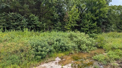 (private lake, pond, creek) Acreage For Sale in Evening Shade Arkansas