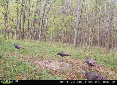 +/- 129 private acres nestled amongst nearly 180,000 acres of - photo 11