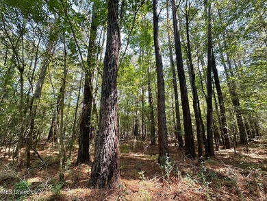 +/- 129 private acres nestled amongst nearly 180,000 acres of - photo 13