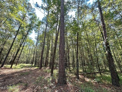 +/- 129 private acres nestled amongst nearly 180,000 acres of - photo 15