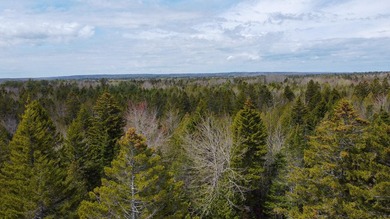 Tucked away in the private High Head community of East Machias - photo 15