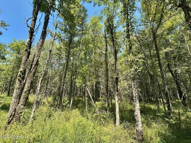 +/- 129 private acres nestled amongst nearly 180,000 acres of - photo 16