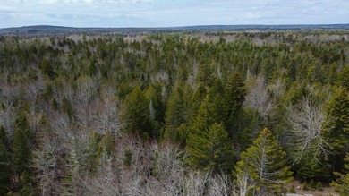 Tucked away in the private High Head community of East Machias - photo 16