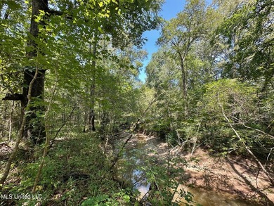 +/- 129 private acres nestled amongst nearly 180,000 acres of - photo 17