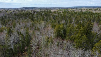 Tucked away in the private High Head community of East Machias - photo 17