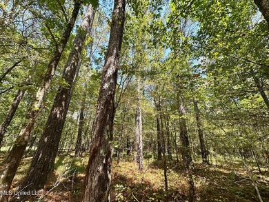 +/- 129 private acres nestled amongst nearly 180,000 acres of - photo 20