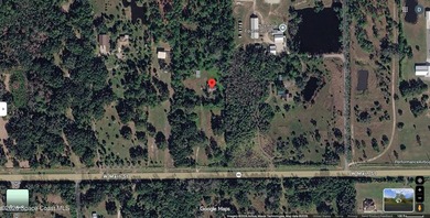 Almost 10 ACRES of land! Great place to build your dream home on - photo 21
