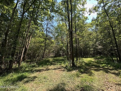 +/- 129 private acres nestled amongst nearly 180,000 acres of - photo 22