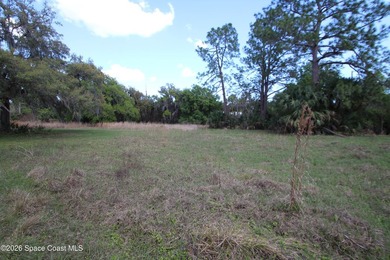 Almost 10 ACRES of land! Great place to build your dream home on - photo 25