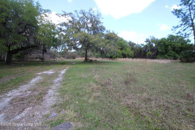 Almost 10 ACRES of land! Great place to build your dream home on - photo 26