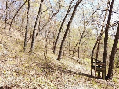6.88-acre recreational property featuring a private pond, sand - photo 7