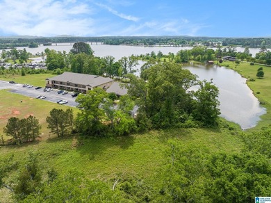 Logan Martin Lake is calling! This move-in ready condo on the - photo 28