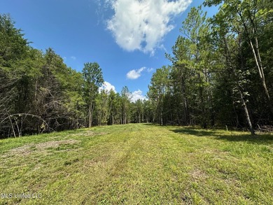 +/- 129 private acres nestled amongst nearly 180,000 acres of - photo 28