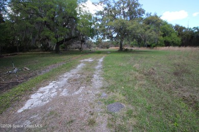 Almost 10 ACRES of land! Great place to build your dream home on - photo 28