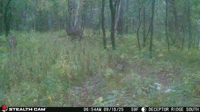 6.88-acre recreational property featuring a private pond, sand - photo 10