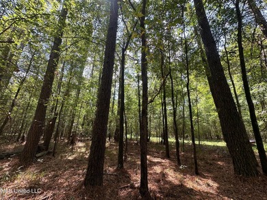 +/- 129 private acres nestled amongst nearly 180,000 acres of - photo 32
