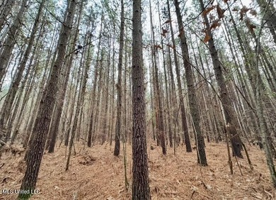 +/- 129 private acres nestled amongst nearly 180,000 acres of - photo 35