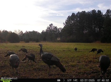 +/- 129 private acres nestled amongst nearly 180,000 acres of - photo 38