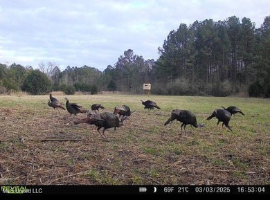 +/- 129 private acres nestled amongst nearly 180,000 acres of - photo 40