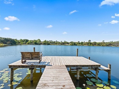 Discover your own private paradise on Bear Lake in Ocklawaha - photo 1