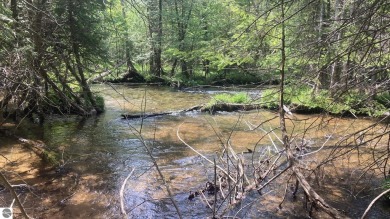 (private lake, pond, creek) Lot For Sale in Kalkaska Michigan