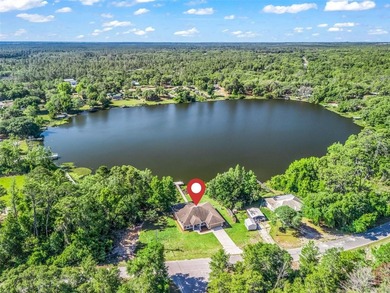 Discover your own private paradise on Bear Lake in Ocklawaha - photo 4