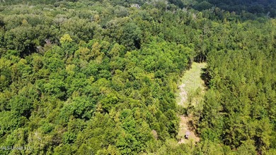 +/- 129 private acres nestled amongst nearly 180,000 acres of - photo 45
