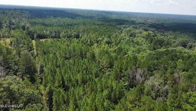 +/- 129 private acres nestled amongst nearly 180,000 acres of - photo 46
