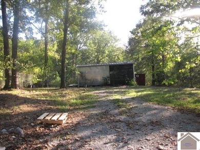 Charming tiny home nestled near picturesque Kentucky Lake! This - photo 9