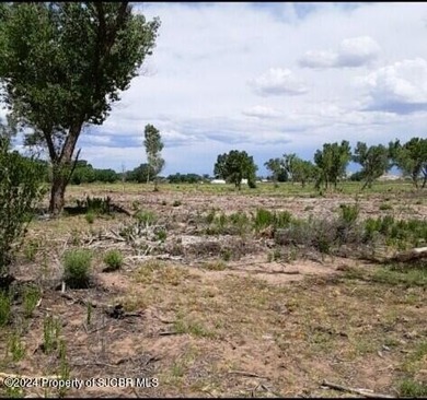 San Juan River Acreage For Sale in Bloomfield New Mexico