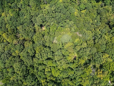 Rare, 18 Acre lake front property at the dead end of Mt. Ebal - photo 7