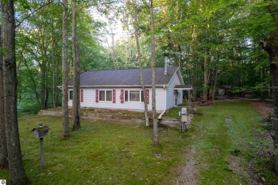 Lake Home For Sale in Leroy, Michigan