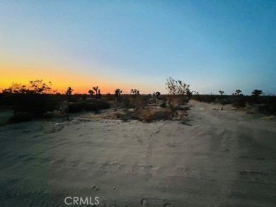 (private lake, pond, creek) Acreage For Sale in Phelan California