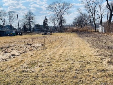 Lake Erie Lot For Sale in Brownstown Michigan
