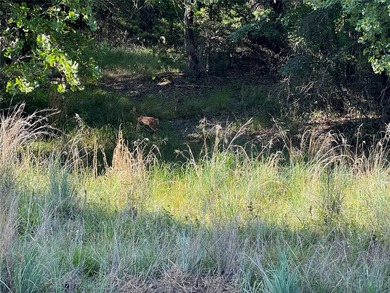 Shady Oaks - photo 1