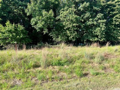 Shady Oaks - photo 4