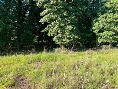 Shady Oaks - photo 5