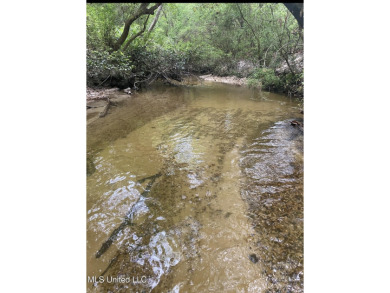 Lake Acreage For Sale in Lucedale, Mississippi