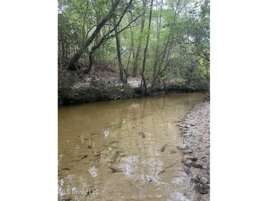 Discover 10.35 acres of untouched vacant land, perfect for - photo 2