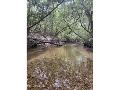 Discover 10.35 acres of untouched vacant land, perfect for - photo 3