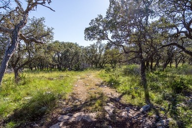 Beautiful 45.02+/- acres of raw land that is Ag Exempt!!! This - photo 4