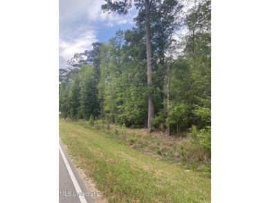 Discover 10.35 acres of untouched vacant land, perfect for - photo 4