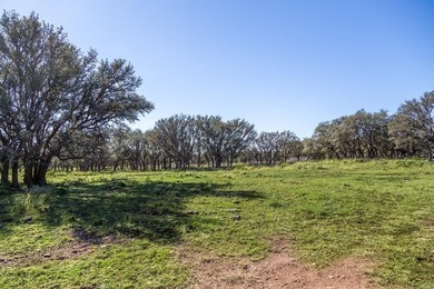 Beautiful 45.02+/- acres of raw land that is Ag Exempt!!! This - photo 6