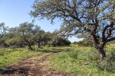 Beautiful 45.02+/- acres of raw land that is Ag Exempt!!! This - photo 9