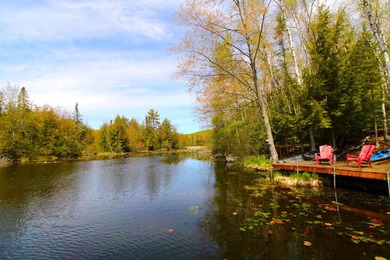 Best of both worlds! Tucked away at the end of the road on 2.3 - photo 25